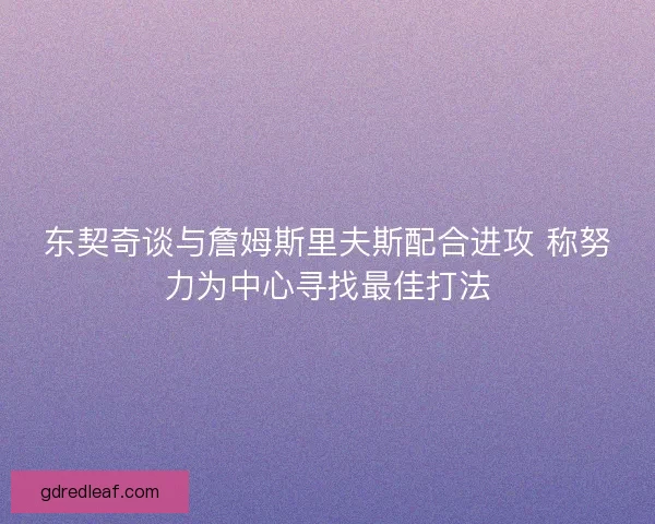 东契奇谈与詹姆斯里夫斯配合进攻 称努力为中心寻找最佳打法
