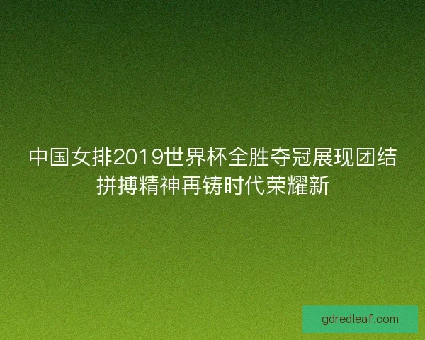 中国女排2019世界杯全胜夺冠展现团结拼搏精神再铸时代荣耀新