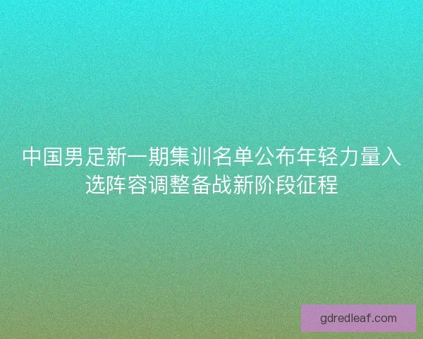 中国男足新一期集训名单公布年轻力量入选阵容调整备战新阶段征程