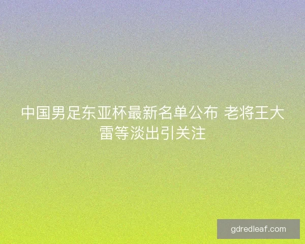 中国男足东亚杯最新名单公布 老将王大雷等淡出引关注